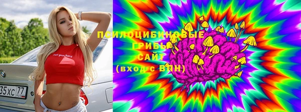 соль ск Богданович